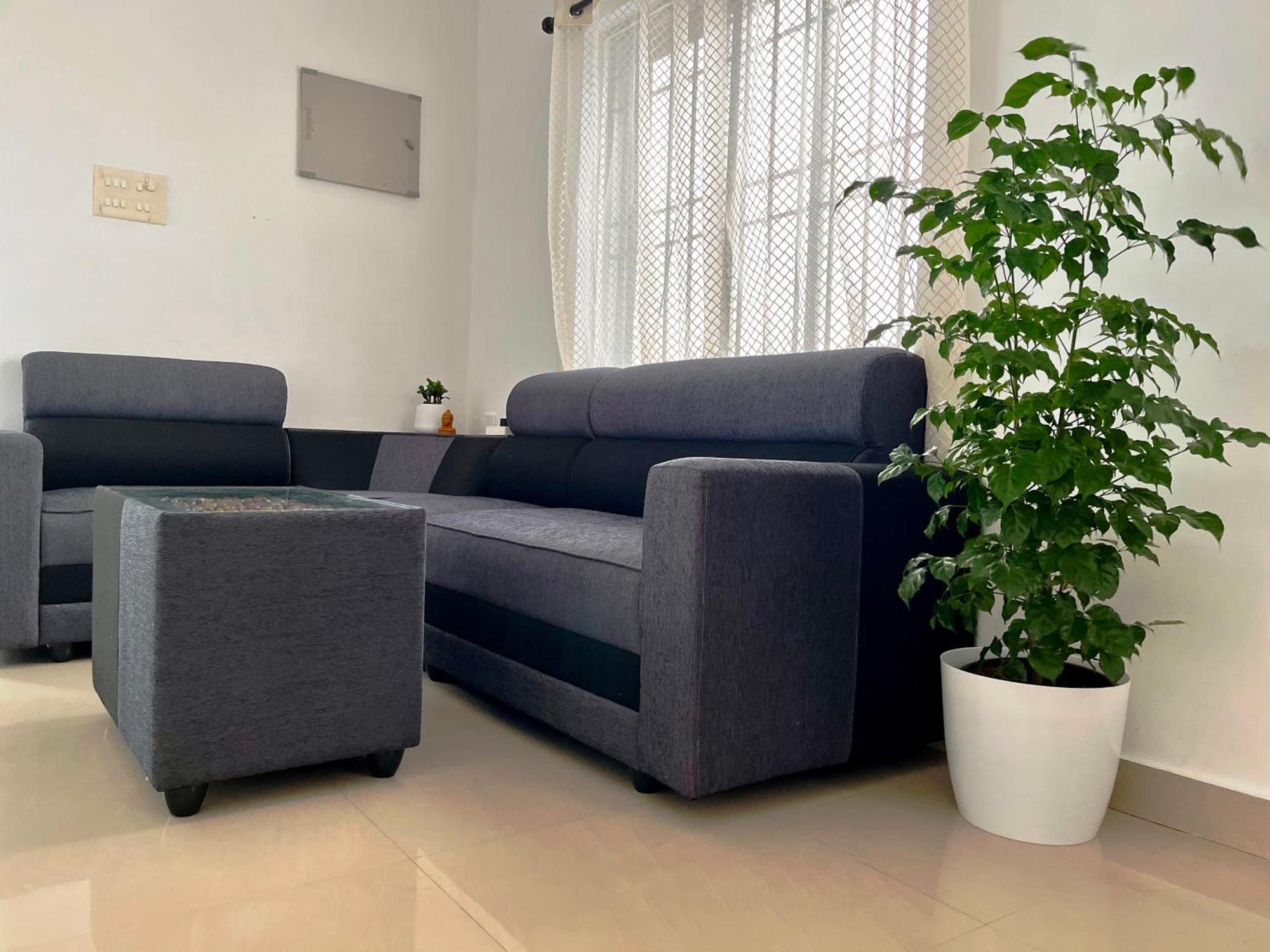 Segundo Home Kochi Buitenkant foto
